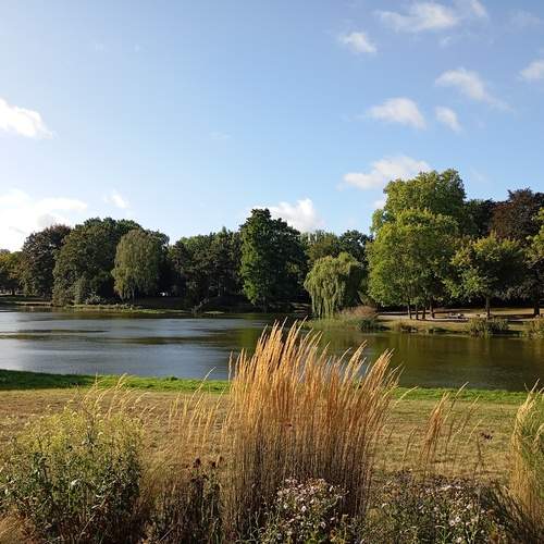 Фотография #13402038