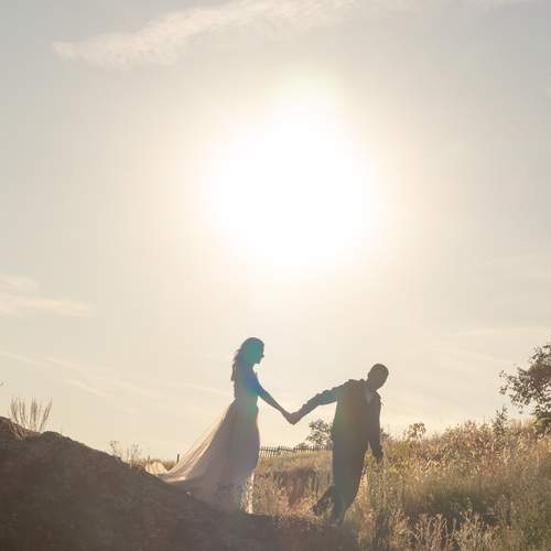 Photo #13402060