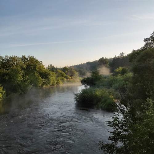 Photo #13402122