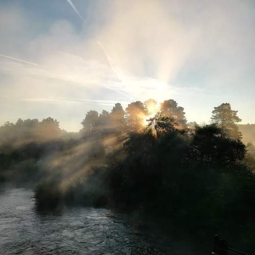 Photo #13402124