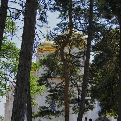 Photo #13402131