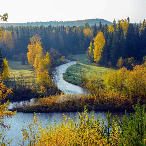 Photo #13402236
