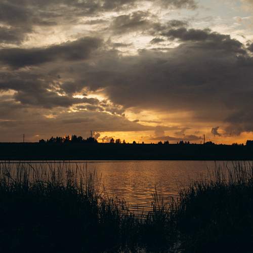 Фотография #13402256