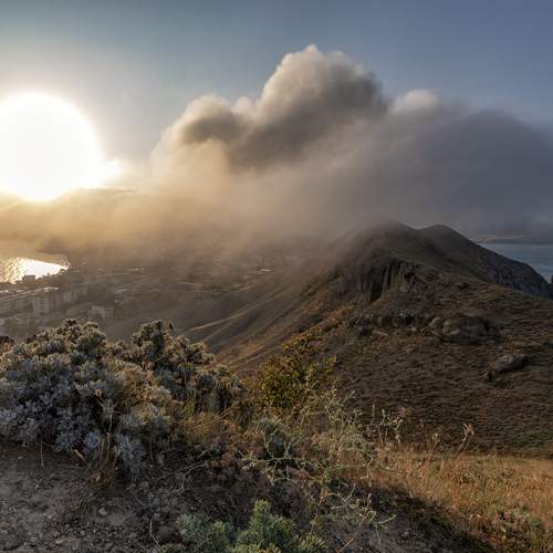 Photo #13402296