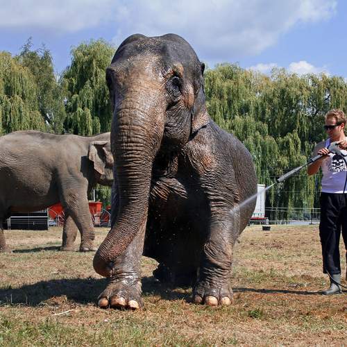 Photo #13402353