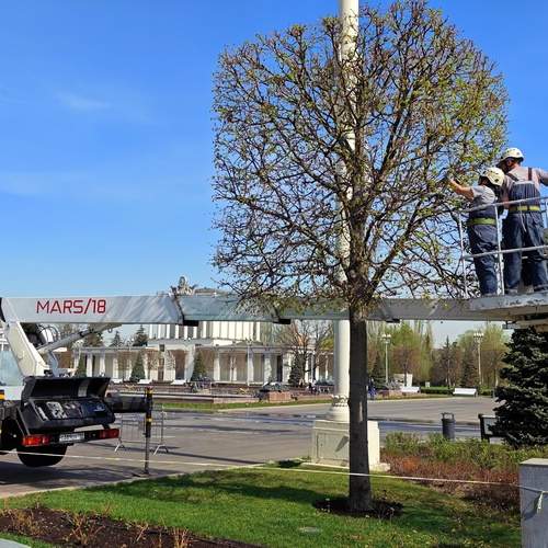 Фотография #13402519