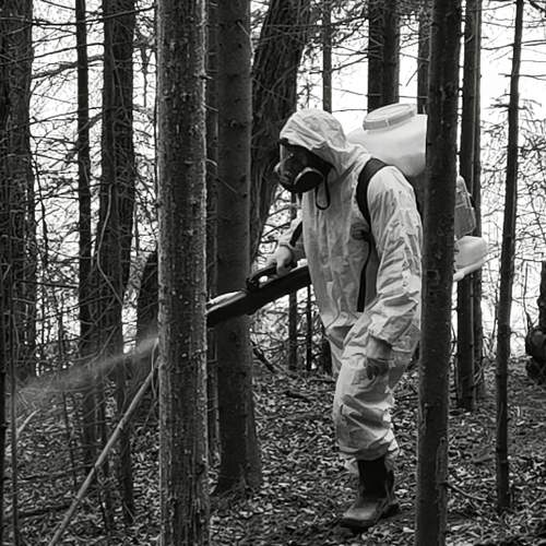 Photo #13402649