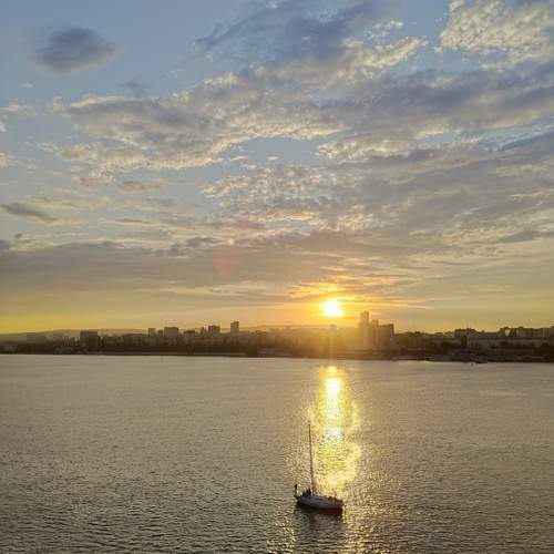 Photo #13402818