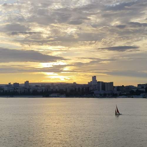 Photo #13402820
