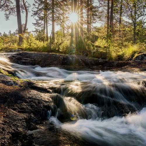 Photo #13402924