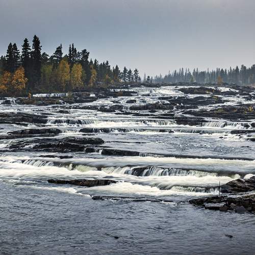 Photo #13402928