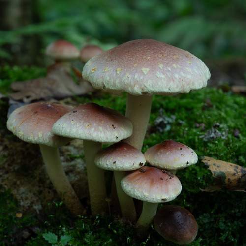 Photo #13402967