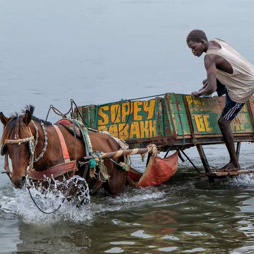 Фотография #13402973