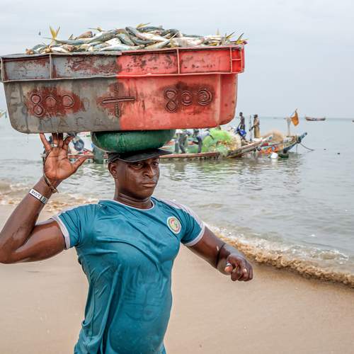 Фотография #13402975