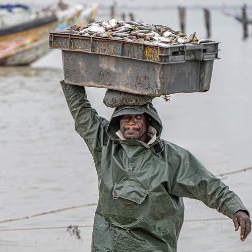 Фотография #13402987