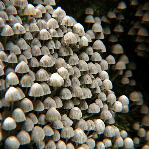 Photo #13403107
