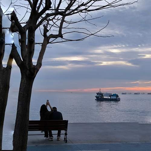 Photo #13403233