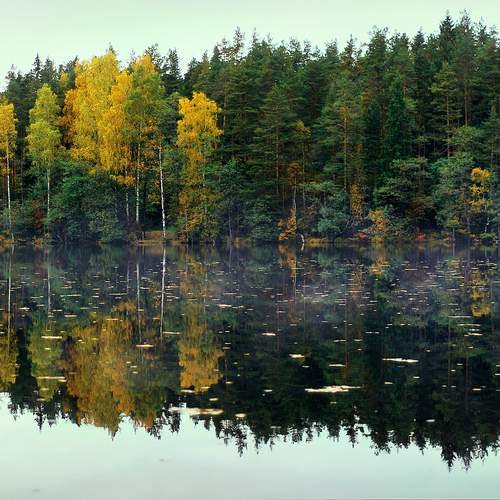 Photo #13403244