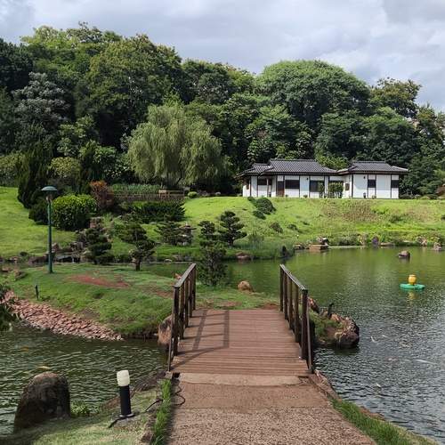 Photo #13403384