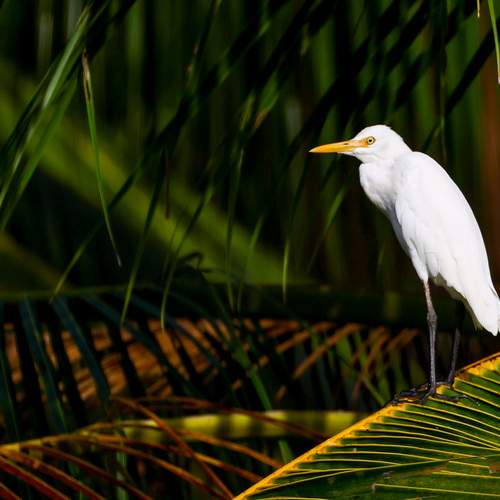 Фотография #13403475