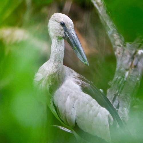 Фотография #13403482