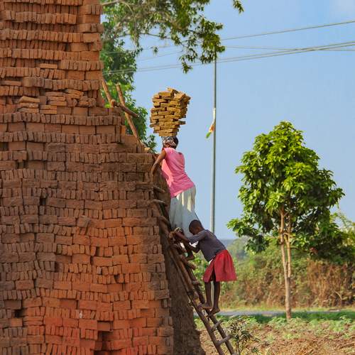 Photo #13403524