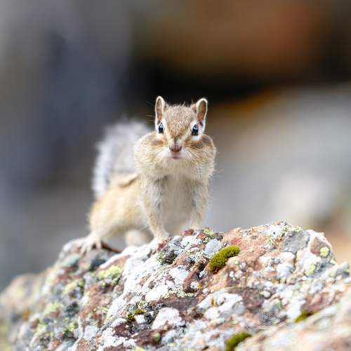 Photo #13403527