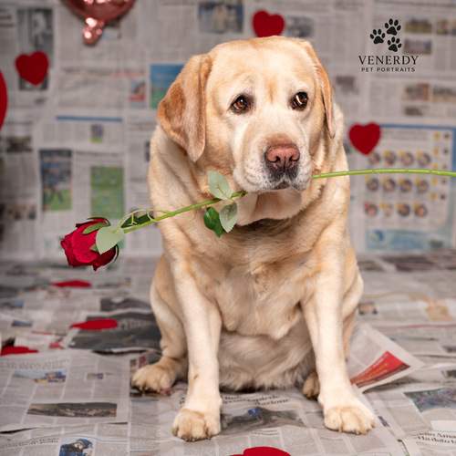 Photo #13403639