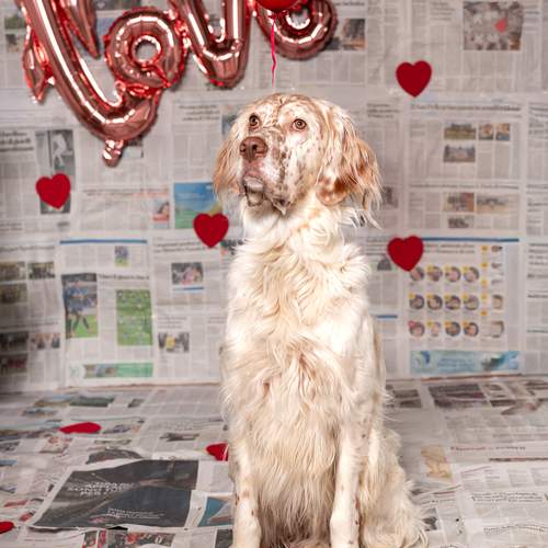 Photo #13403646