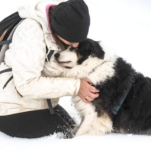 Photo #13403661