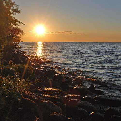 Photo #13403671