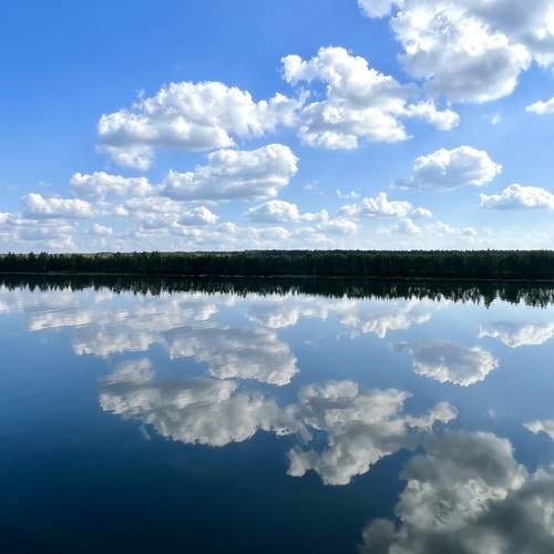 Photo #13403707