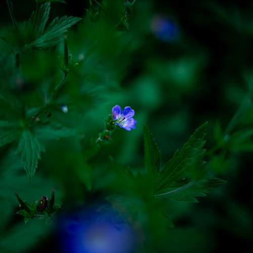 Photo #13404156