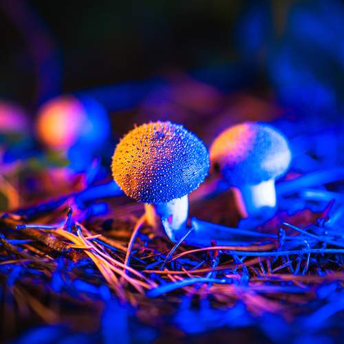Photo #13404228