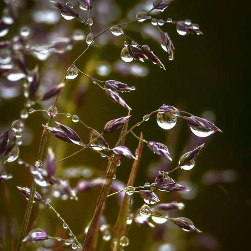 Photo #13404306
