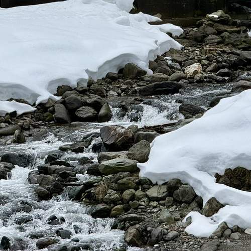 Photo #13404464