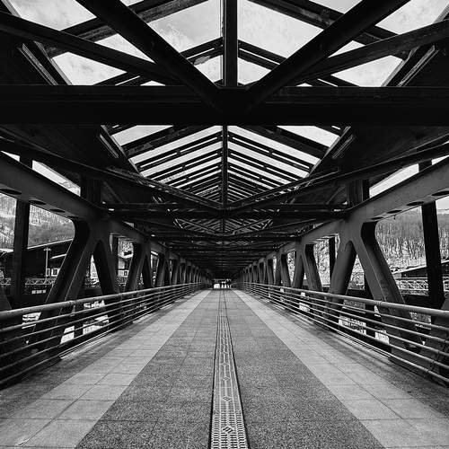 Photo #13404465