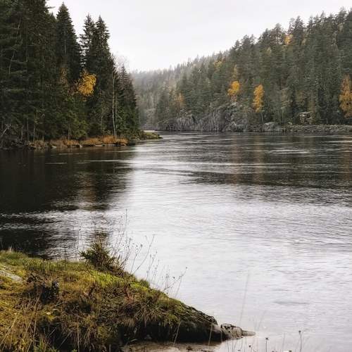 Photo #13404670