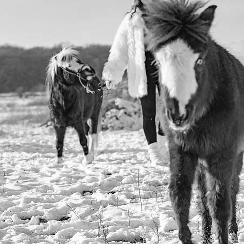 Фотография #13404680