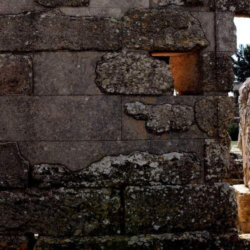 Photo #13404854