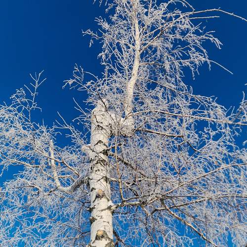 Photo #13405028