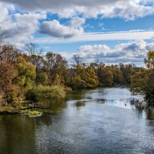 Photo #13405083