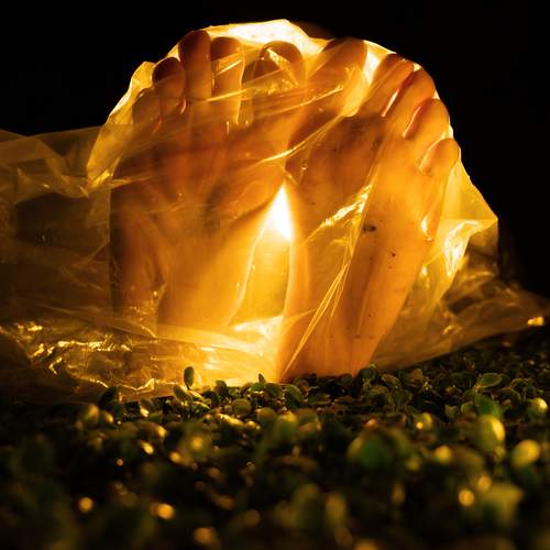 Fragile Light of Life