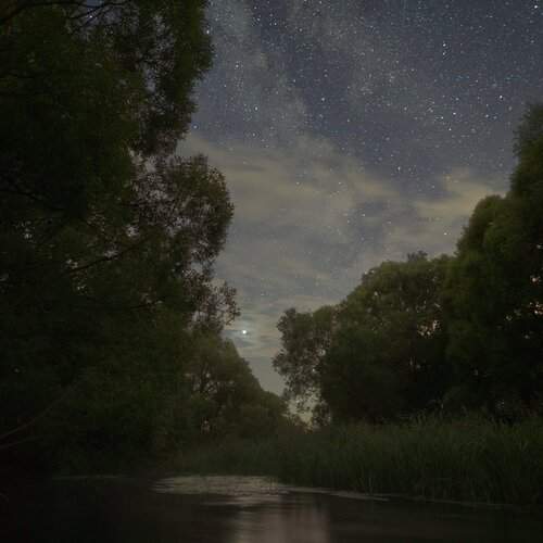 Photo #13405110