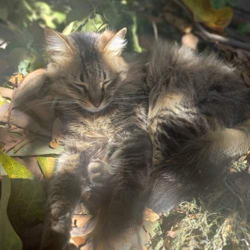 Photo #13405337