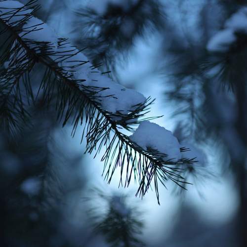 Photo #13405347