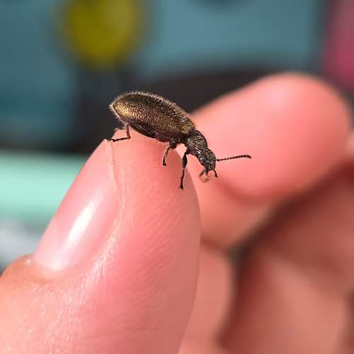 Photo #13405348