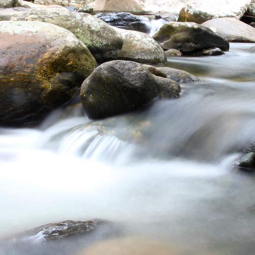 Photo #13405367