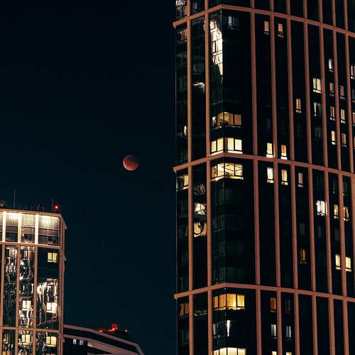 Фотография #13405622