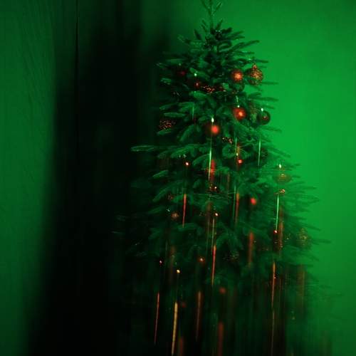 Photo #13405628